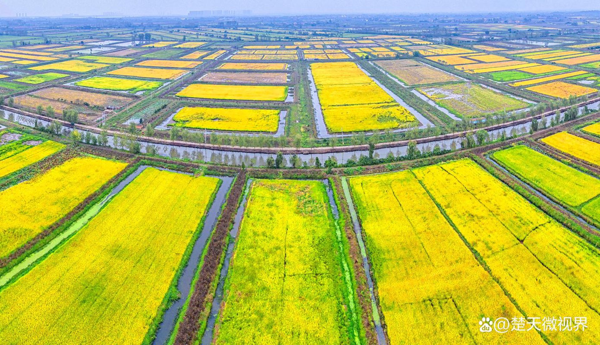 鱼苗供应行业动态：鱼苗养殖市场的最新趋势